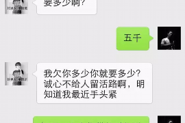 大理融资清欠服务